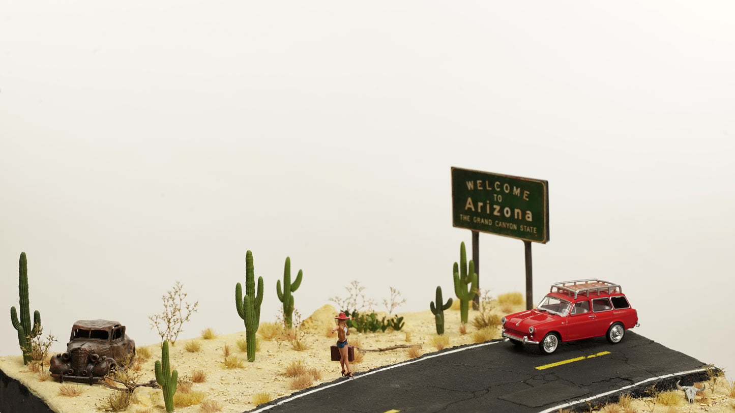 Diorama 1/64 scale "Arizona Desert Road" with cactus for Hotwheels car